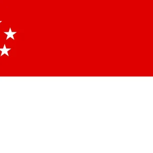 Pitcher: Pure Business – Singapore 2028